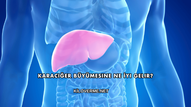 Karaciğer Büyümesine Ne İyi Gelir?