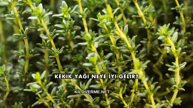 Kekik Yağı Neye İyi Gelir?