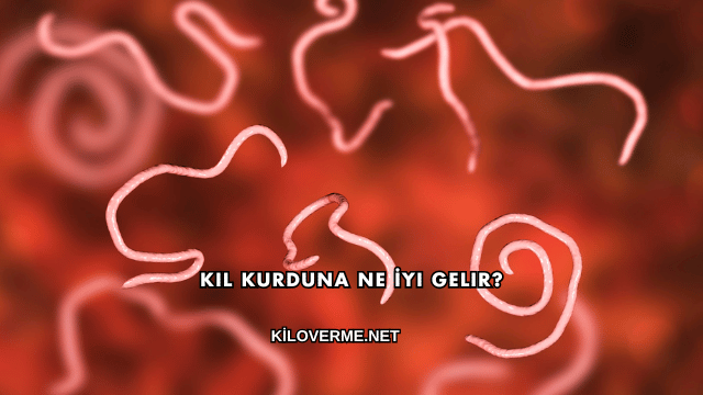 Kıl Kurduna Ne İyi Gelir?