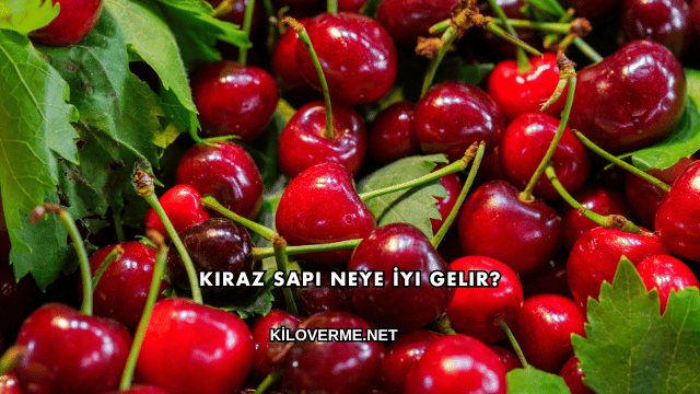 Kiraz Sapı Neye İyi Gelir?