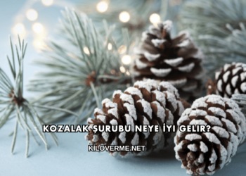 Kozalak Şurubu Neye İyi Gelir?