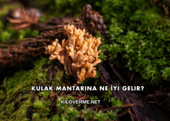 Kulak Mantarına Ne İyi Gelir?