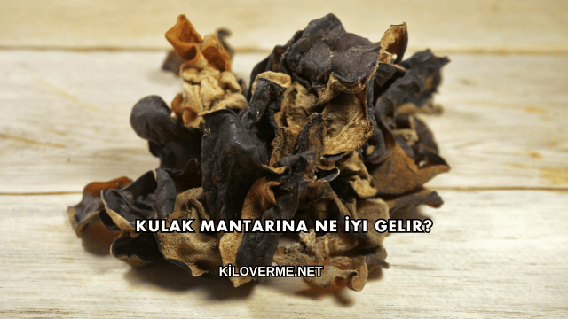Kulak Mantarına Ne İyi Gelir?