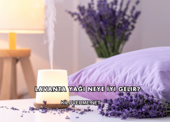 Lavanta Yağı Neye İyi Gelir?