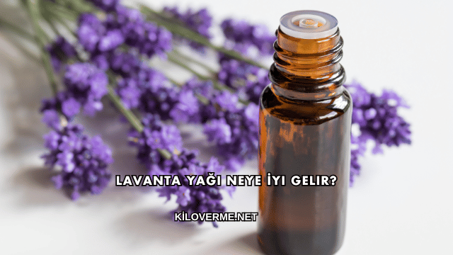 Lavanta Yağı Neye İyi Gelir?