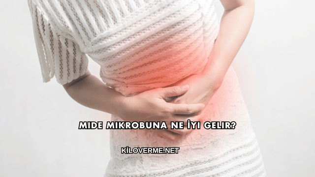 Mide Mikrobuna Ne İyi Gelir?