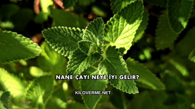 Nane Çayı Neye İyi Gelir?