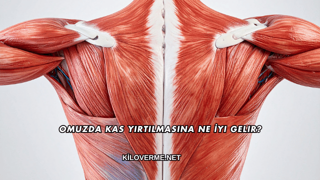 Omuzda Kas Yırtılmasına Ne İyi Gelir?