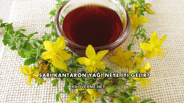 Sarı Kantaron Yağı Neye İyi Gelir?
