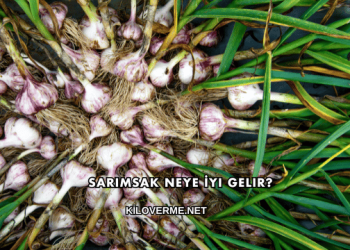 Sarımsak Neye İyi Gelir?