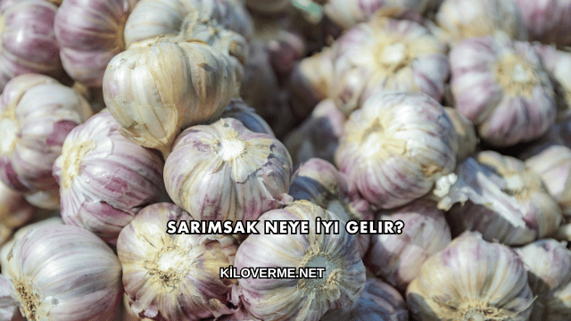 Sarımsak Neye İyi Gelir?
