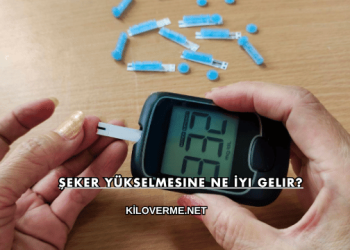 Şeker Yükselmesine Ne İyi Gelir?