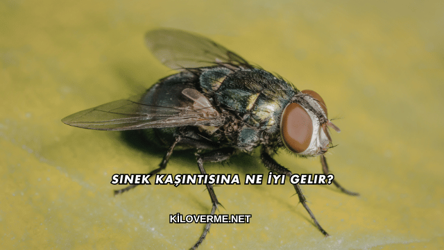 Sinek Kaşıntısına Ne İyi Gelir?