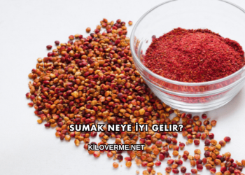Sumak Neye İyi Gelir?