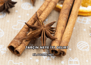 Tarçın Neye İyi Gelir?
