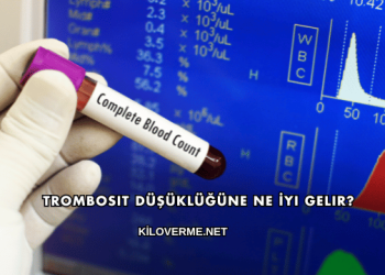 Trombosit Düşüklüğüne Ne İyi Gelir?