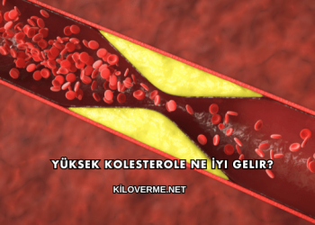 Yüksek Kolesterole Ne İyi Gelir?
