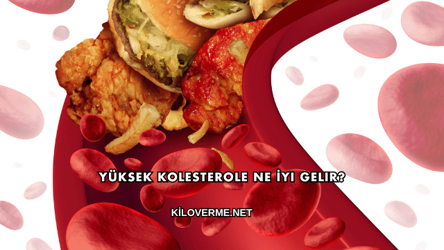 Yüksek Kolesterole Ne İyi Gelir?