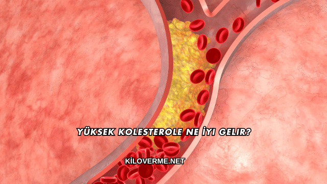 Yüksek Kolesterole Ne İyi Gelir?