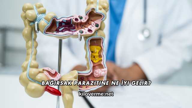 Bağırsak Parazitine Ne İyi Gelir?