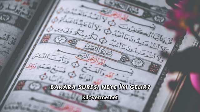 Bakara Suresi Neye İyi Gelir?