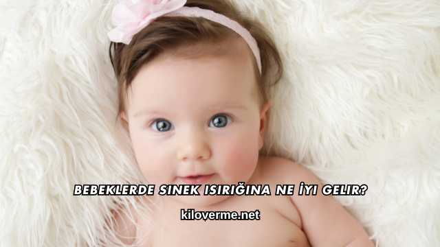 Bebeklerde Sinek Isırığına Ne İyi Gelir?