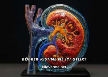 Böbrek Kistine Ne İyi Gelir?