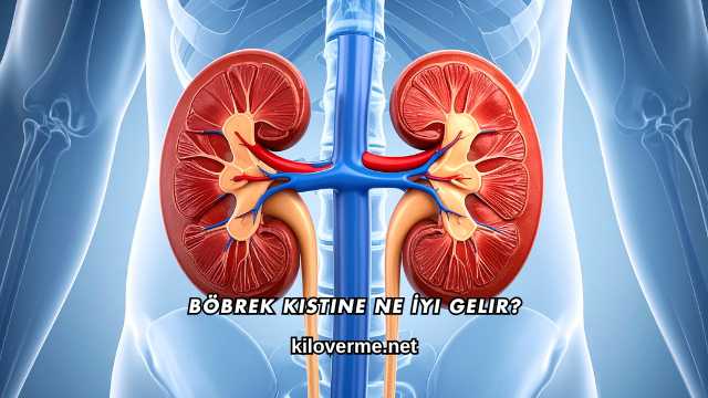 Böbrek Kistine Ne İyi Gelir?