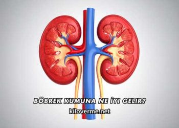 Böbrek Kumuna Ne İyi Gelir?