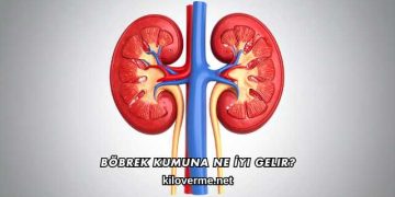 Böbrek Kumuna Ne İyi Gelir?