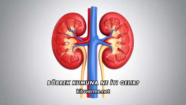 Böbrek Kumuna Ne İyi Gelir?