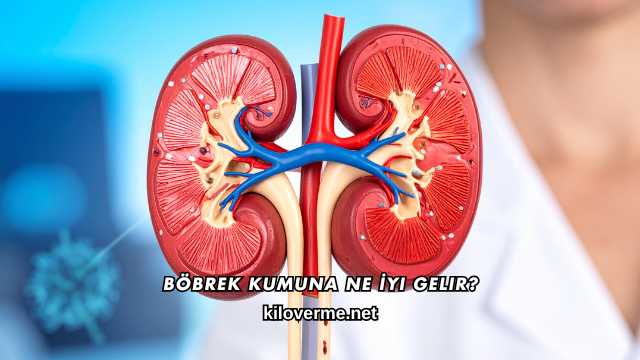 Böbrek Kumuna Ne İyi Gelir?
