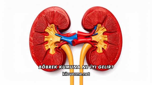Böbrek Kumuna Ne İyi Gelir?