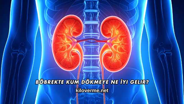 Böbrekte Kum Dökmeye Ne İyi Gelir?
