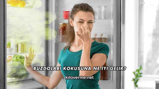 Buzdolabı Kokusuna Ne İyi Gelir?