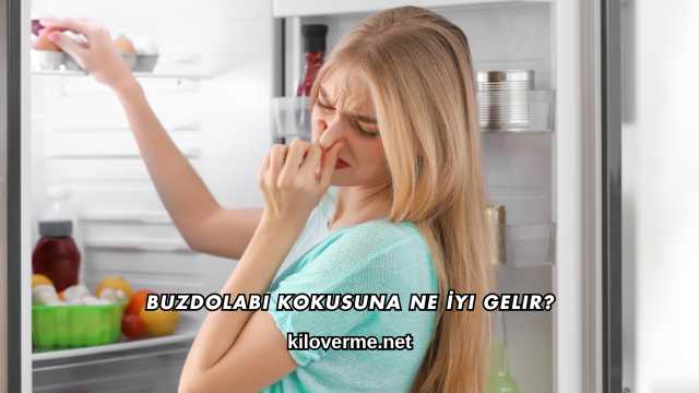 Buzdolabı Kokusuna Ne İyi Gelir?
