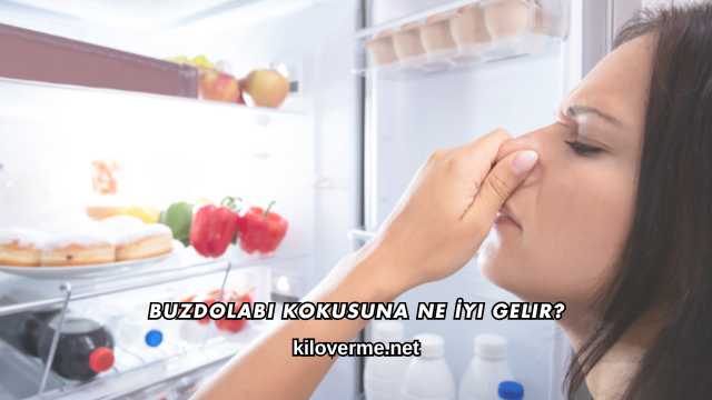 Buzdolabı Kokusuna Ne İyi Gelir?