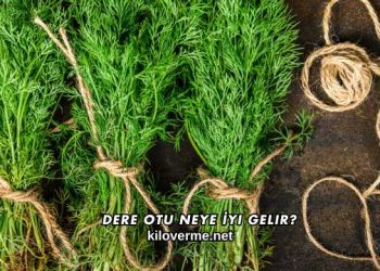 Dere Otu Neye İyi Gelir?