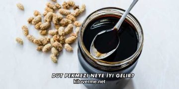 Dut Pekmezi Neye İyi Gelir?