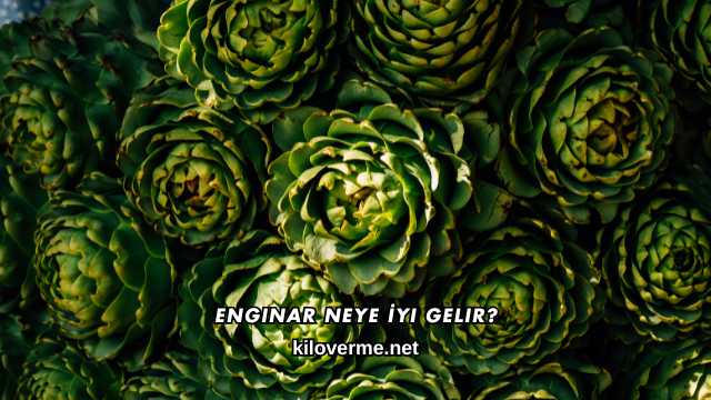 Enginar Neye İyi Gelir?