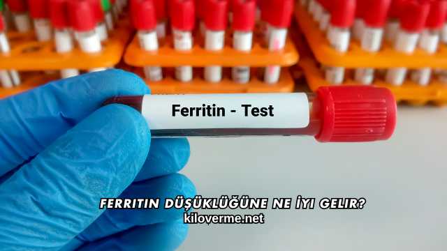 Ferritin Düşüklüğüne Ne İyi Gelir?