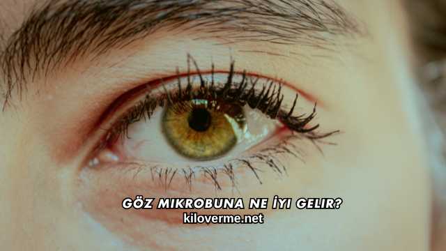 Göz Mikrobuna Ne İyi Gelir?