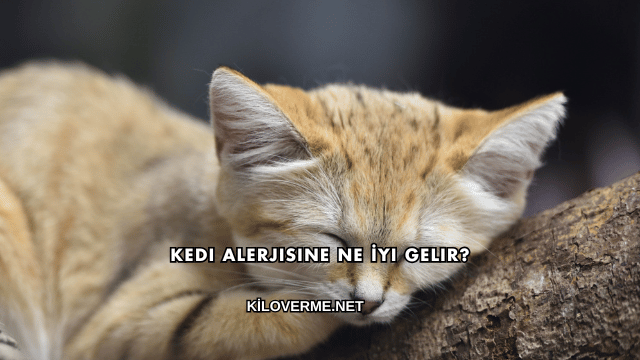Kedi Alerjisine Ne İyi Gelir?