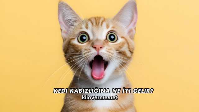 Kedi Kabızlığına Ne İyi Gelir?