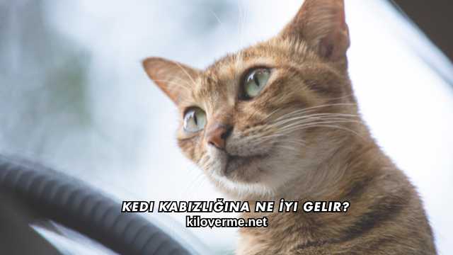Kedi Kabızlığına Ne İyi Gelir?