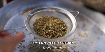 Kimyon Neye İyi Gelir?
