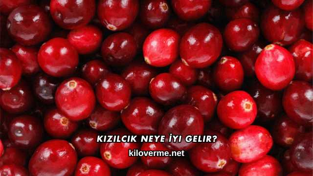 Kızılcık Neye İyi Gelir?