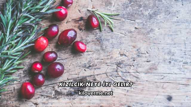 Kızılcık Neye İyi Gelir?