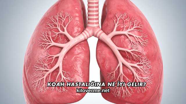Koah Hastalığına Ne İyi Gelir?