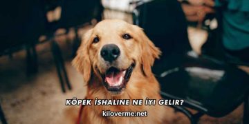 Köpek İshaline Ne İyi Gelir?